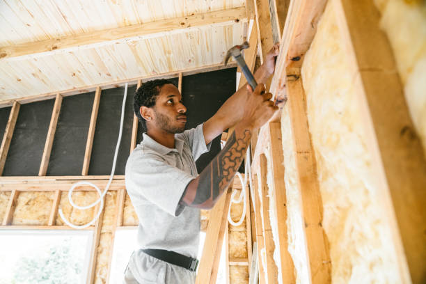 Best Insulation Replacement Services  in Boulevard Park, WA